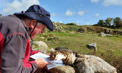 A cat greets artists to Carn Euny on a walk with Mayes Creative.webp